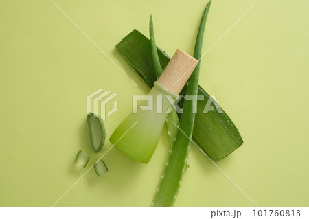 A gradient beauty cosmetic container leaning on Aloe vera leaves. Aloe vera (Aloe barbadensis miller) gel helps to keep the skin hydrated and heals burns 101760813