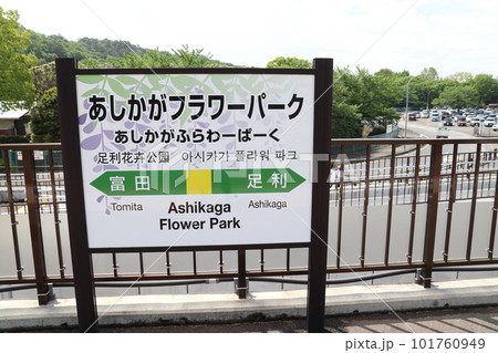 両毛線　あしかがフラワーパーク駅（駅名標） 101760949