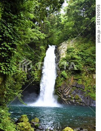 流れ落ちる浄蓮の滝 101760956