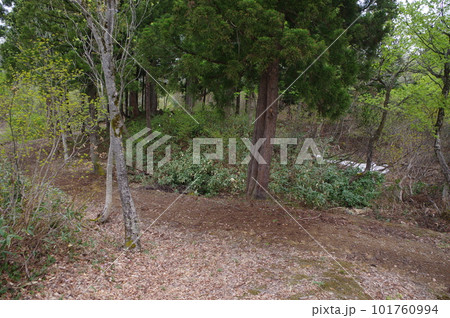 棚田が見える暮らし 101760994