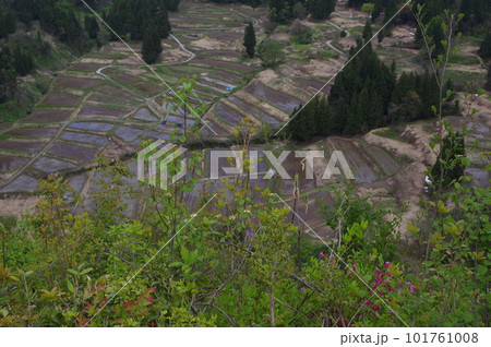 棚田が見える暮らし 棚田が見える暮らし 101761008