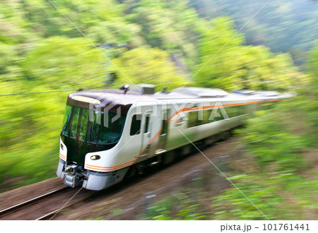 新緑の中を行くHC85特急ひだ　高山本線　上麻生-白川口 101761441