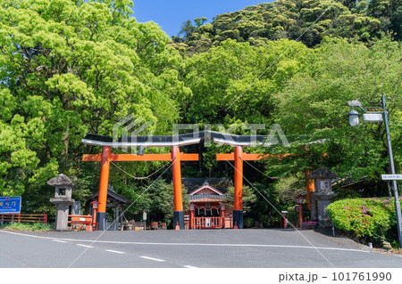 《鹿児島県》諏訪神社 並立鳥居 （スワジンジャ ヘイリツトリイ） 101761990