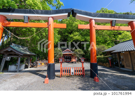 《鹿児島県》諏訪神社 並立鳥居 （スワジンジャ ヘイリツトリイ） 101761994