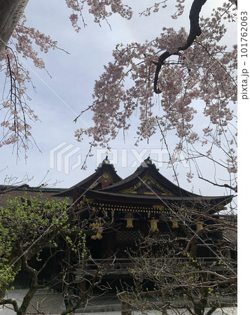 北野天満宮 北野天満宮 101762063