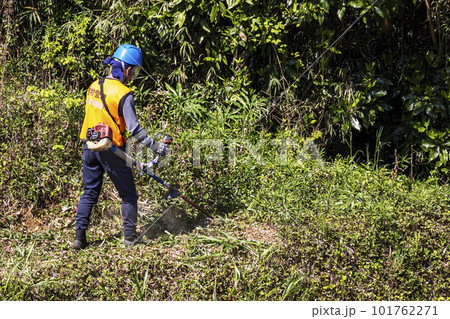 生い茂った雑草を電動草刈機で刈り込む男性植木職人 生い茂った雑草を電動草刈機で刈り込む男性植木職人 101762271