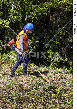 生い茂った雑草を電動草刈機で刈り込む男性植木職人 101762281