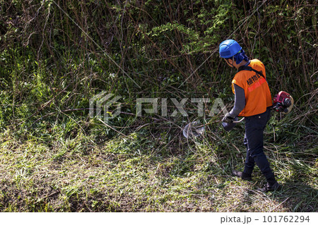 生い茂った雑草を電動草刈機で刈り込む男性植木職人 生い茂った雑草を電動草刈機で刈り込む男性植木職人 101762294