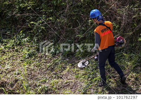 生い茂った雑草を電動草刈機で刈り込む男性植木職人 生い茂った雑草を電動草刈機で刈り込む男性植木職人 101762297