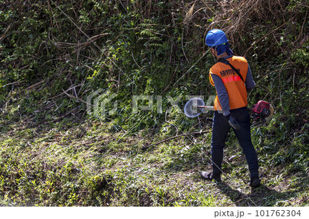 生い茂った雑草を電動草刈機で刈り込む男性植木職人 生い茂った雑草を電動草刈機で刈り込む男性植木職人 101762304