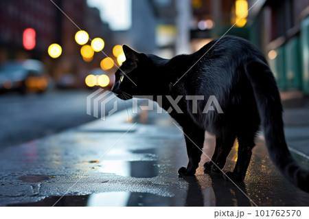 都会の夜の街を見回る黒猫のイラスト素材 [101762570] - PIXTA