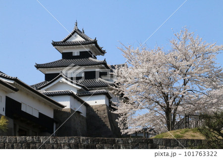 戊辰戦争の舞台となった桜の名所白河小峰城 戊辰戦争の舞台となった桜の名所白河小峰城 101763322