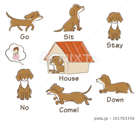 ペットの小型犬のトレーニングに使用する基本合図（コマンド）セットの