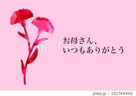 母の日のメッセージカード 101764480