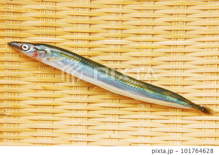 竹ざるにのせたイカナゴ 101764628