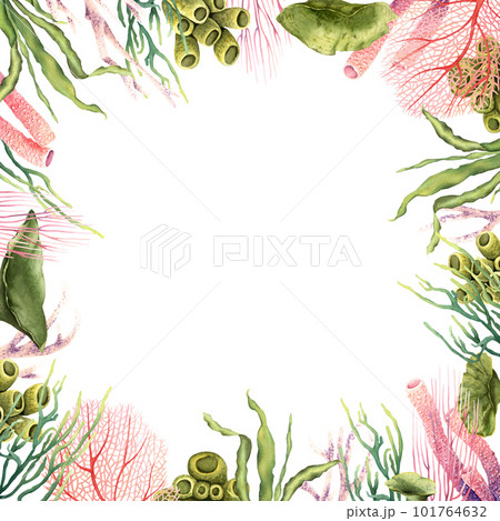 Frame border with underwater corals and plants. Hand drawn watercolor illustration isolated on white background 101764632