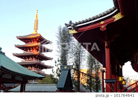 浅草寺 明け方 正月 101764641