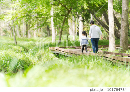散歩をする孫とおばあちゃんの写真 101764784