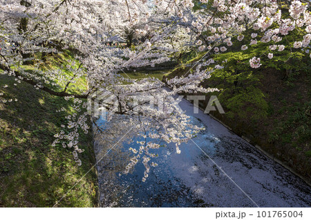 Moat at Hirosaki Castle Moat at Hirosaki Castle 101765004