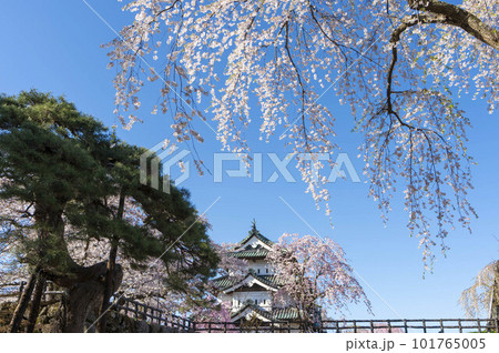 Hirosaki Castle with Sky 101765005