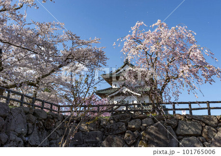 Hirosaki Castle Lower View Hirosaki Castle Lower View 101765006