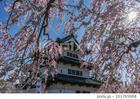 Hirosaki Castle with Blossoms Hirosaki Castle with Blossoms 101765008