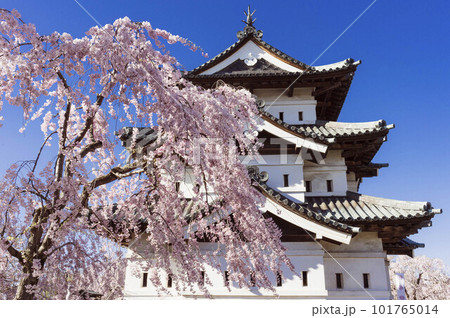 Hirosaki Castle with Cherry Tree 101765014