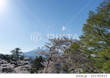 Looking at Mountains from Hirosaki Castle 101765015