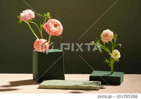 Beautiful Persian Buttercup flowers are arranged in block of floral foam. Empty space on the stone podium to display your product 101765306