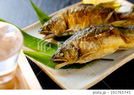 日本酒と焼き魚 101765745