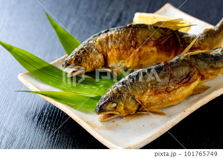 鮎　黒バック 101765749