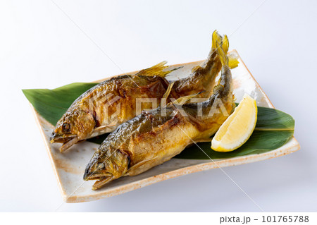 鮎　焼き魚 101765788