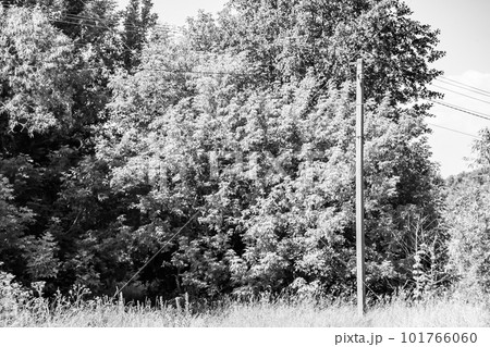 Power electric pole with line wire on light background close up 101766060