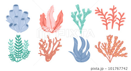 Set of 8 elements of underwater planting. Bright colorful set of seaweed and corals. Modern flat illustration. Set of 8 elements of underwater planting. Bright colorful set of seaweed and corals. Modern flat illustration. 101767742