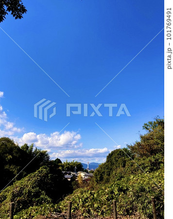 京都一周トレイルコースから見る京都タワー 101769491