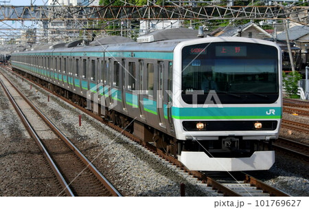 E231系0番台マト119編成　元中央・総武緩行線　常磐線快速電車 101769627