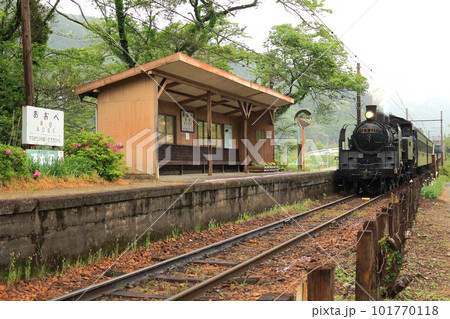大井川鐵道青部駅を通過する上り「C11型」蒸気機関車 大井川鐵道青部駅を通過する上り「C11型」蒸気機関車 101770118