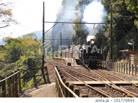 大井川鐵道神尾駅を通過する下り「C11型」蒸気機関車 101770693