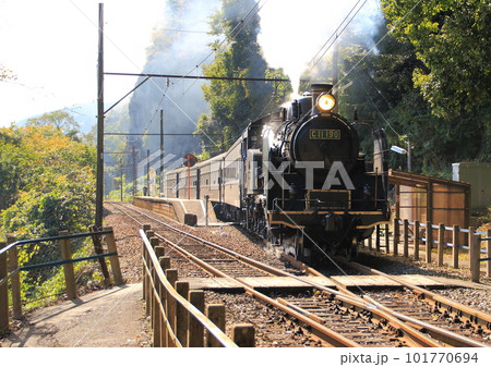 大井川鐵道神尾駅を通過する下り「C11型」蒸気機関車 101770694