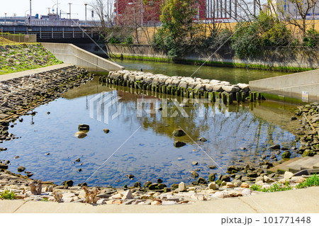 HATゆめ公園の風景 神戸市中央区HAT神戸にて HATゆめ公園の風景 神戸市中央区HAT神戸にて 101771448