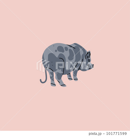Hand drawn abstract vector clipart illustration collection with pink adorable cute, stylized pig character.Trendy modern design concept.Vector cartoon farm animal piggy symbol. Cartoon pig animal. 101771599