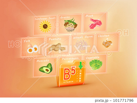 Folder collect vitamin B5 orange. There is a screen projecting out pictures of fruits and vegetables. Vitamin that neutralize free radicals. Anti aging beauty concept and health care. 3D vector EPS10. 101771796