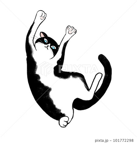 バンザイをしているハチワレ猫のイラスト、ハチワレ猫の仰向のイラスト