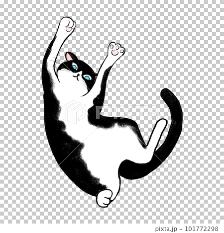 バンザイをしているハチワレ猫のイラスト、ハチワレ猫の仰向のイラスト、鉢割れ猫のイラスト、へそ天猫 101772298