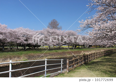 芳賀町 野川親水公園 芳賀町 野川親水公園 101772699