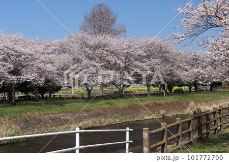 芳賀町 野川親水公園 芳賀町 野川親水公園 101772700