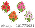 ツツジ　4色 101773021