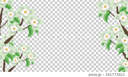 Dogwood white frame Dogwood white frame 101773022