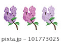 ライラック　3色 101773025