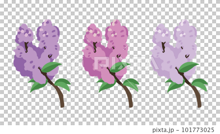 Lilac 3 colors Lilac 3 colors 101773025